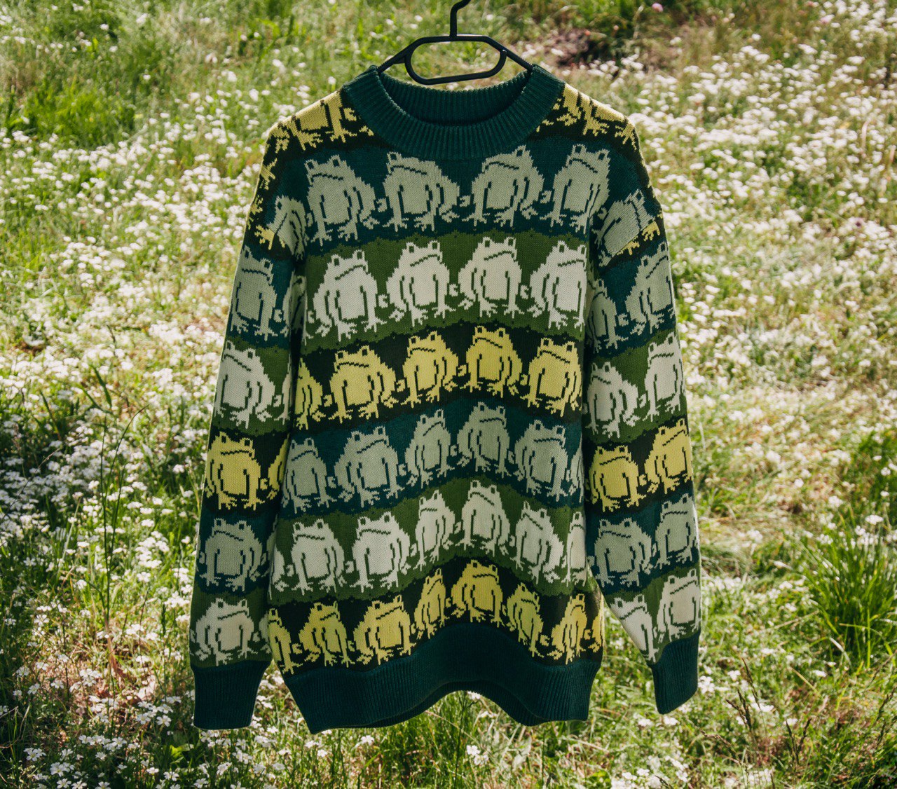Frog Sweater